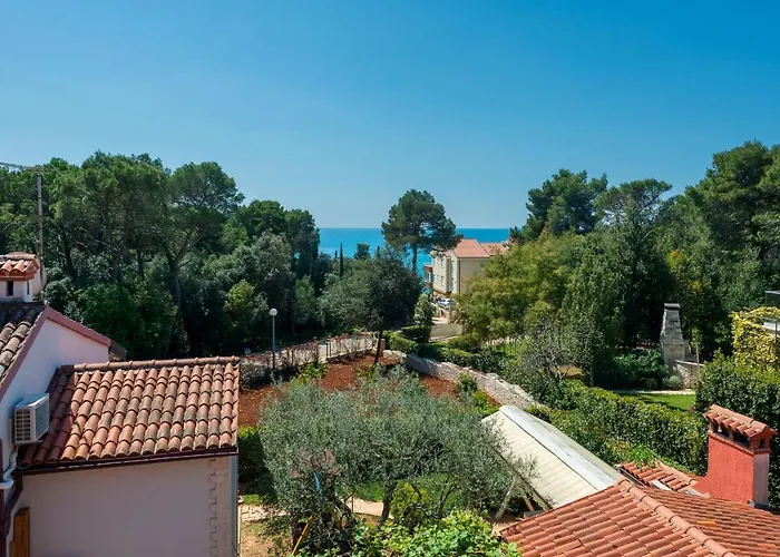 Διαμέρισμα House Mitic Ρόβινι