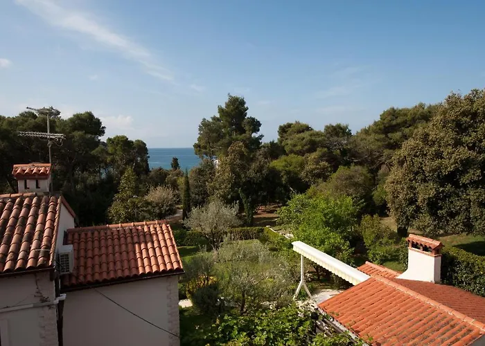 Διαμέρισμα House Mitic *