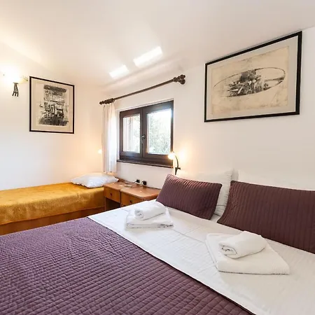 Apartman House Mitic *