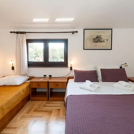 House Mitic Apartman