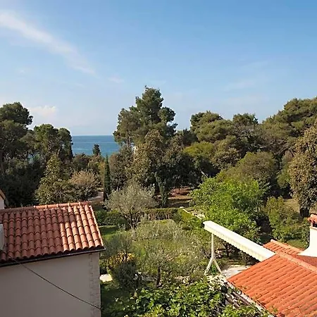 Apartmán House Mitic